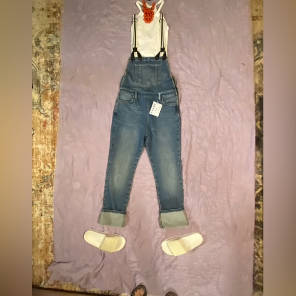 FRAME DENIM Straight Leg Distressed Suspenders Overalls ROADIES Blue - Picture 15 of 16